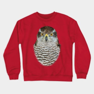 Goshawk Crewneck Sweatshirt